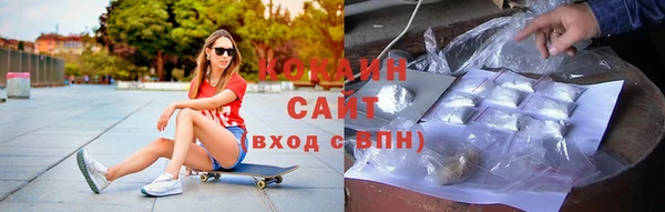 сатива Балахна