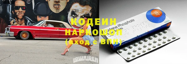 твердый Богданович