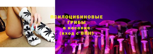 сатива Балахна