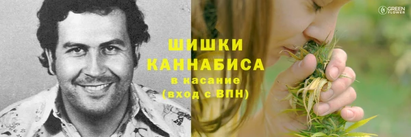 эйфоретик Баксан