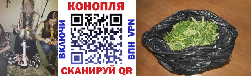 Каннабис ГИДРОПОН  где найти наркотики  MEGA зеркало  Выборг 